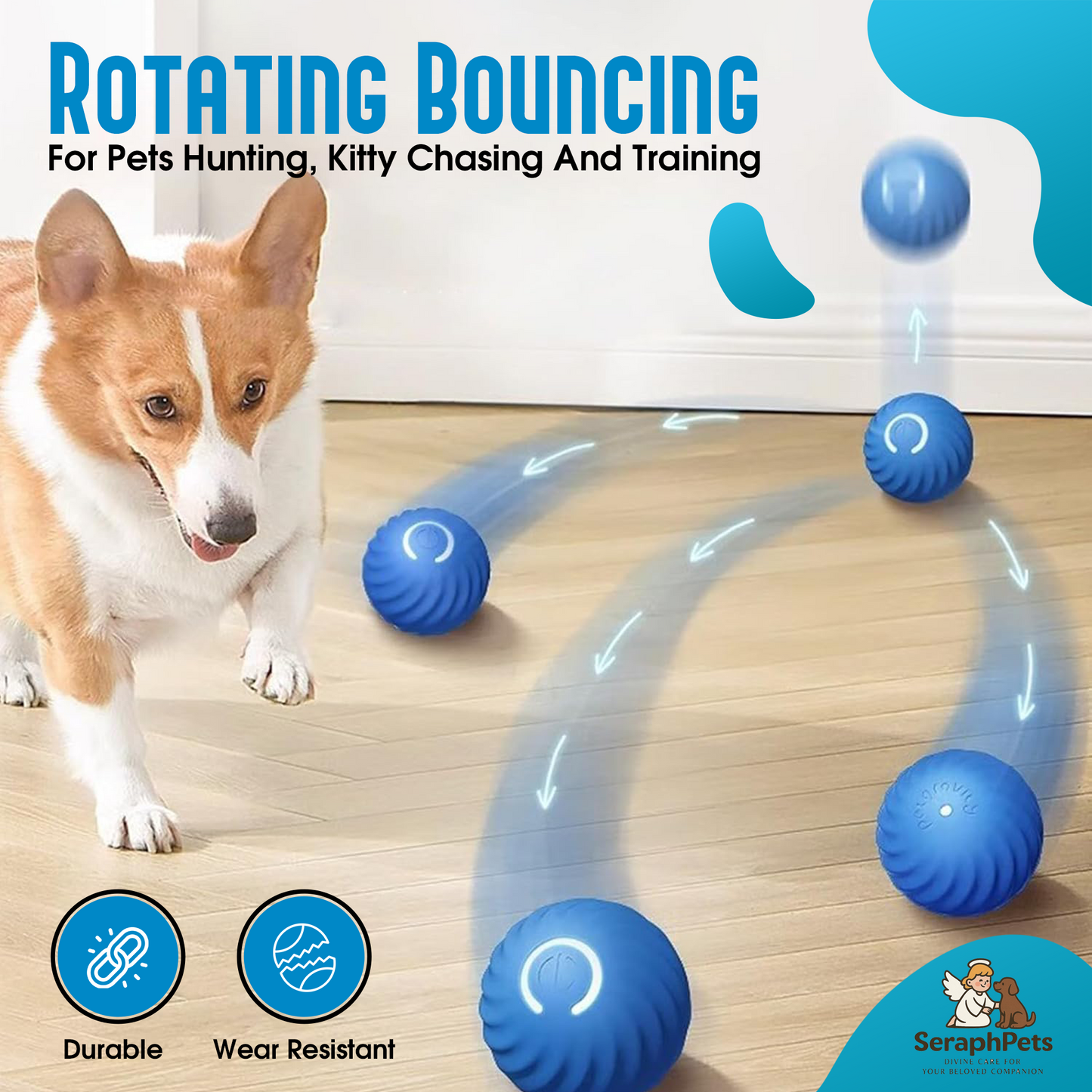 Smart Dog Ball