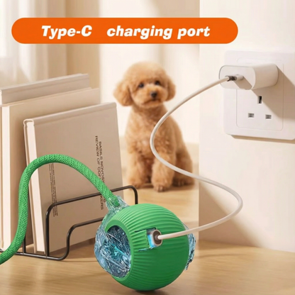 New Dog Interactive Ball Toy