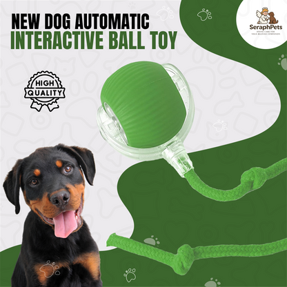 New Dog Interactive Ball Toy