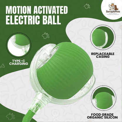New Dog Interactive Ball Toy