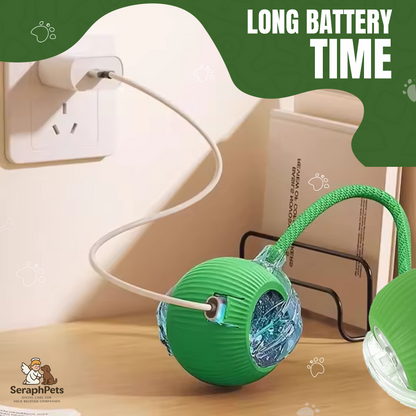 New Dog Interactive Ball Toy