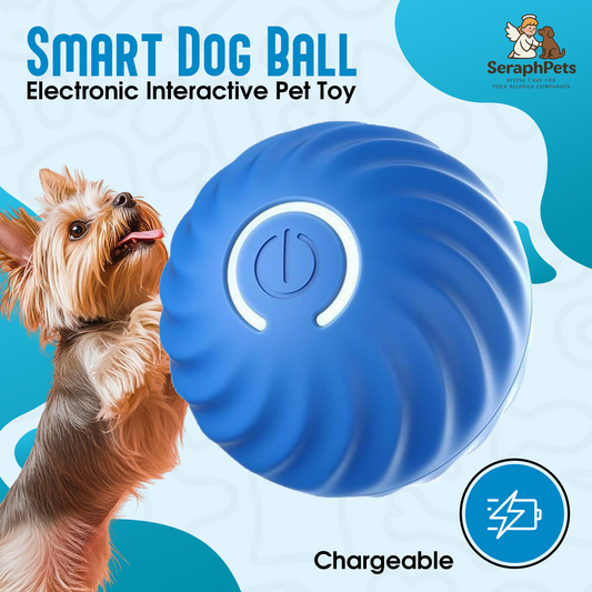 Smart Dog Ball