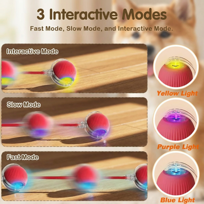 New Dog Interactive Ball Toy
